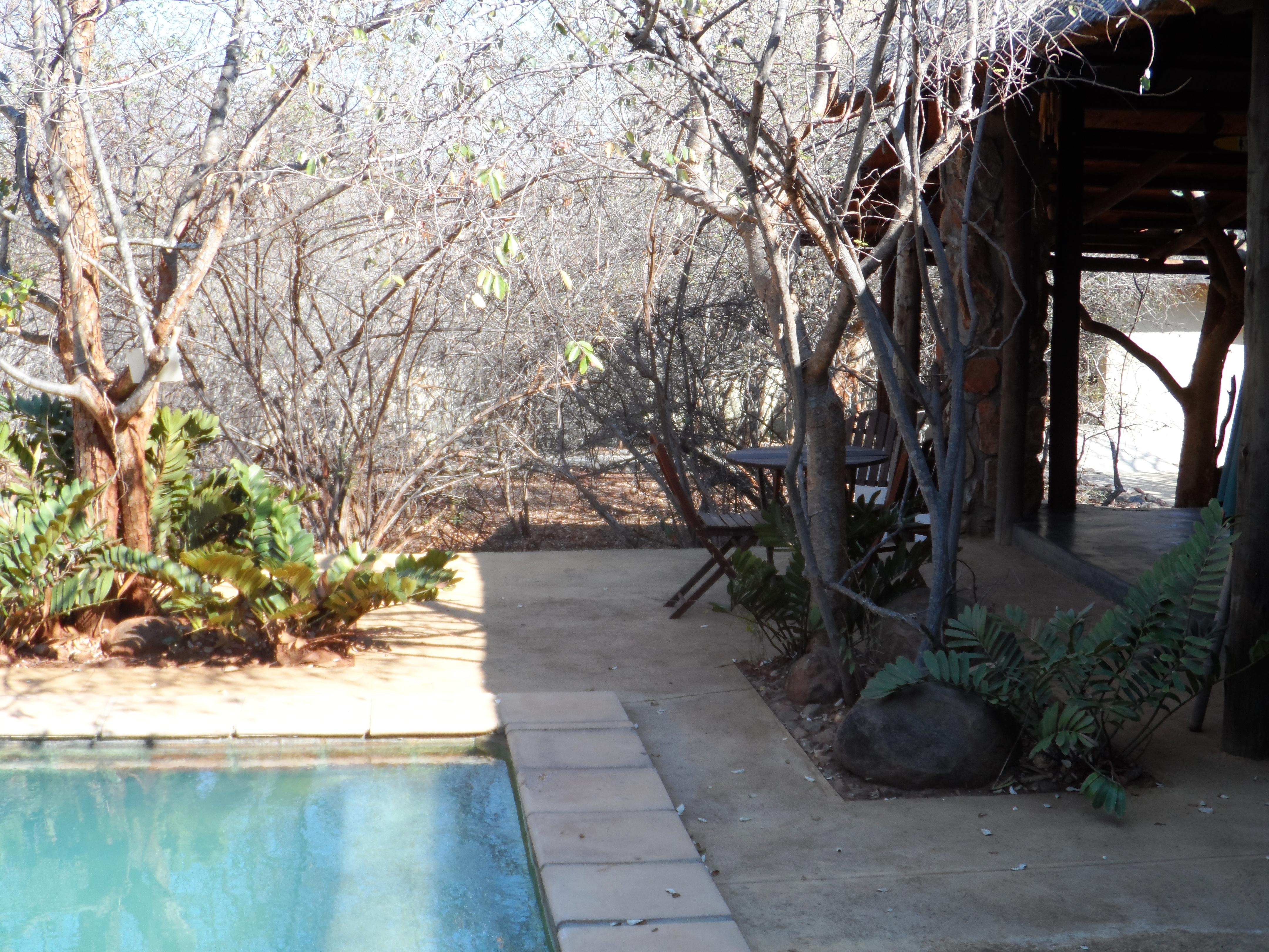 Shikwari Nature Reserve Hoedspruit Kültér fotó